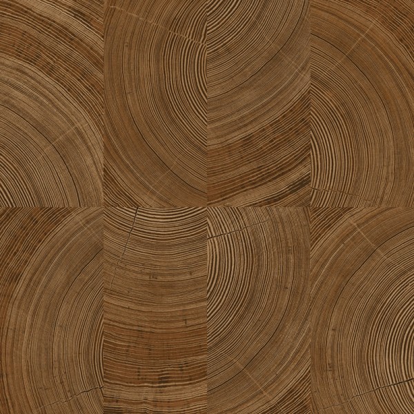 Papel pintado MADERA ANILLOS ROBLE UT_16207481