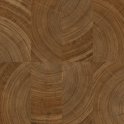 Papel de parede MADEIRA ANÉIS CARVALHO UT_16207481