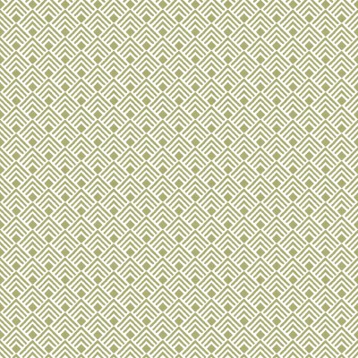 Paper pintat CHEVRON VERD 2050