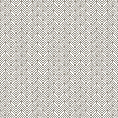 Papel de parede CHEVRON CINZA 2052