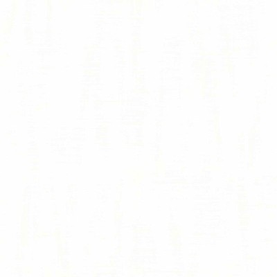 Papel pintado VINILICO TEXTURADO BLANCO 2067
