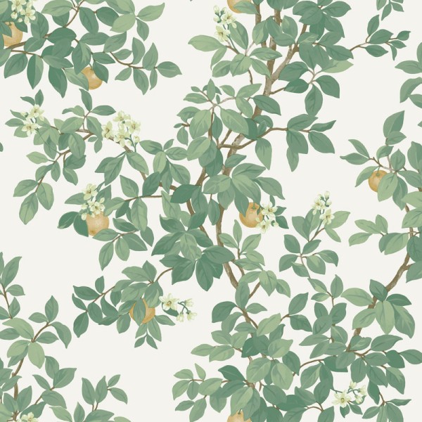 Papel de parede JARDIM DE LARANJEIRAS VERDE 14240