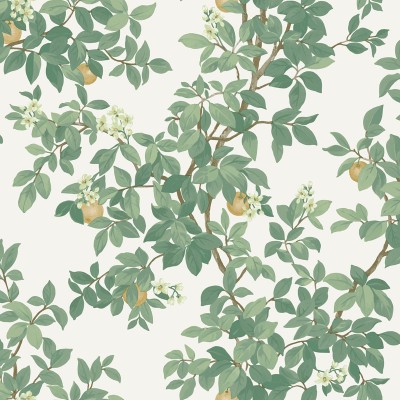 Papel de parede JARDIM DE LARANJEIRAS VERDE 14240