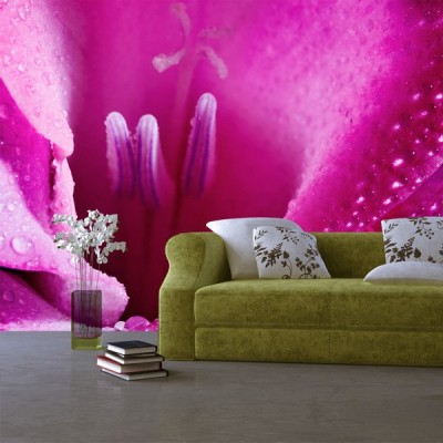 Fotomural Decorativo FV034 2