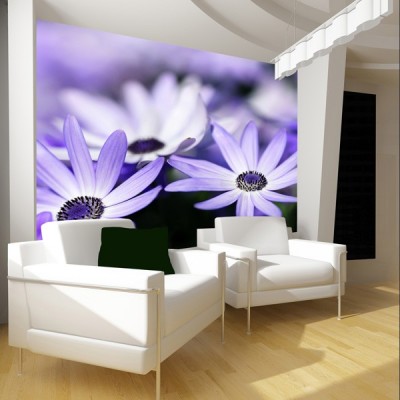 Fotomural Decorativo FV034 2