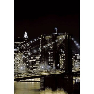 Fotomural NEW YORK AT NIGHT 97331
