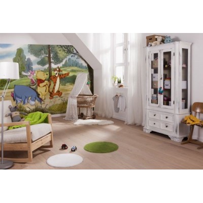 Fotomural Disney WINNIE EXPEDITION 4-411 Fotomural Disney WINNIE EXPEDITION 4-411