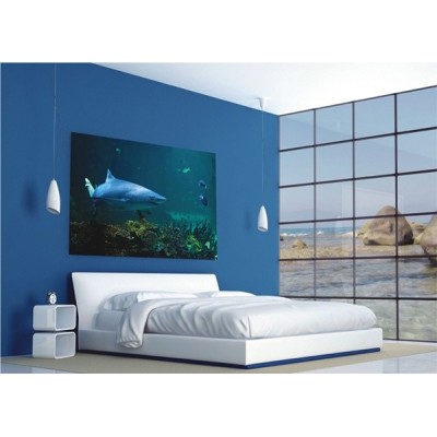 Fotomural SHARK 2