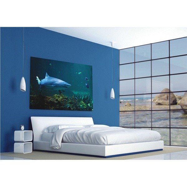 Fotomural SHARK Fotomural SHARK