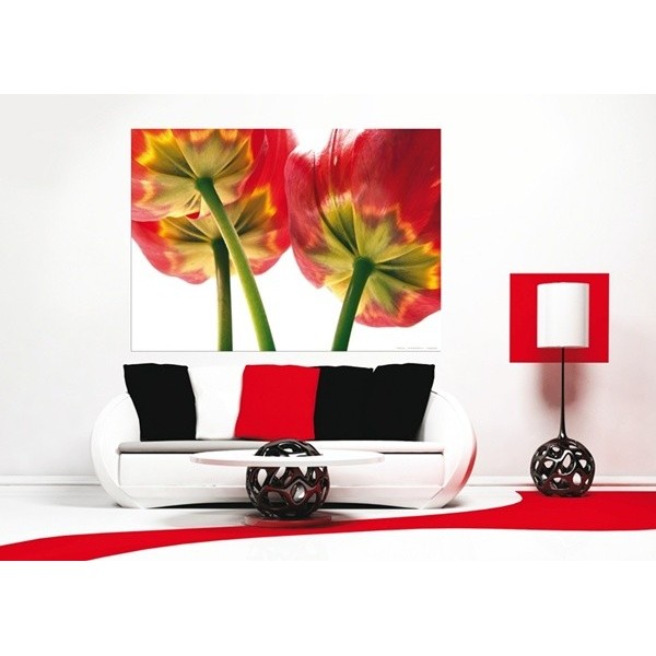 Fotomural PINK ON STONES