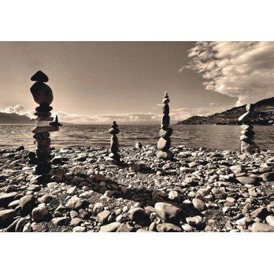 Fotomural PINK ON STONES