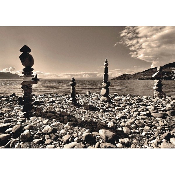 Fotomural PINK ON STONES