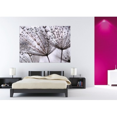 Fotomural PINK ON STONES 2