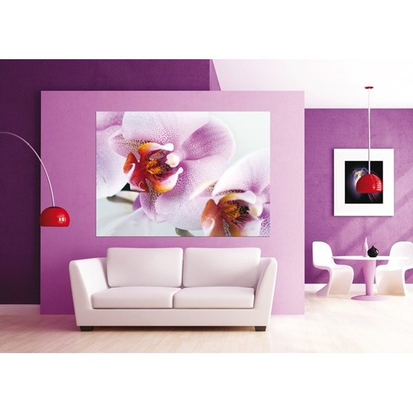 Fotomural PINK ORCHID Fotomural PINK ORCHID