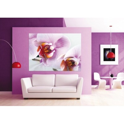Fotomural PINK ORCHID Fotomural PINK ORCHID