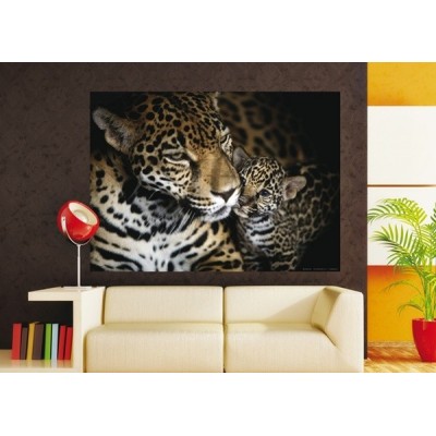 Fotomural LEOPARDS Fotomural LEOPARDS