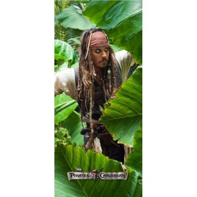 Fotomural PIRATS FTD-0269