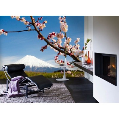 Fotomural ALMOND 8-006P 2