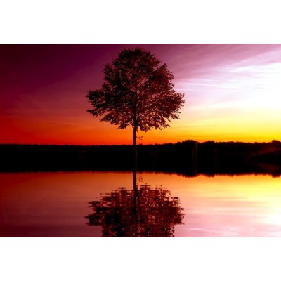 Fotomural BEAUTIFUL 8-007P Fotomural BEAUTIFUL 8-007P