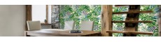 Papel de parede Natureza