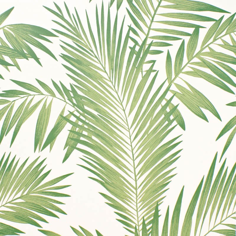 papel pintado hojas de palmera verdes tropical