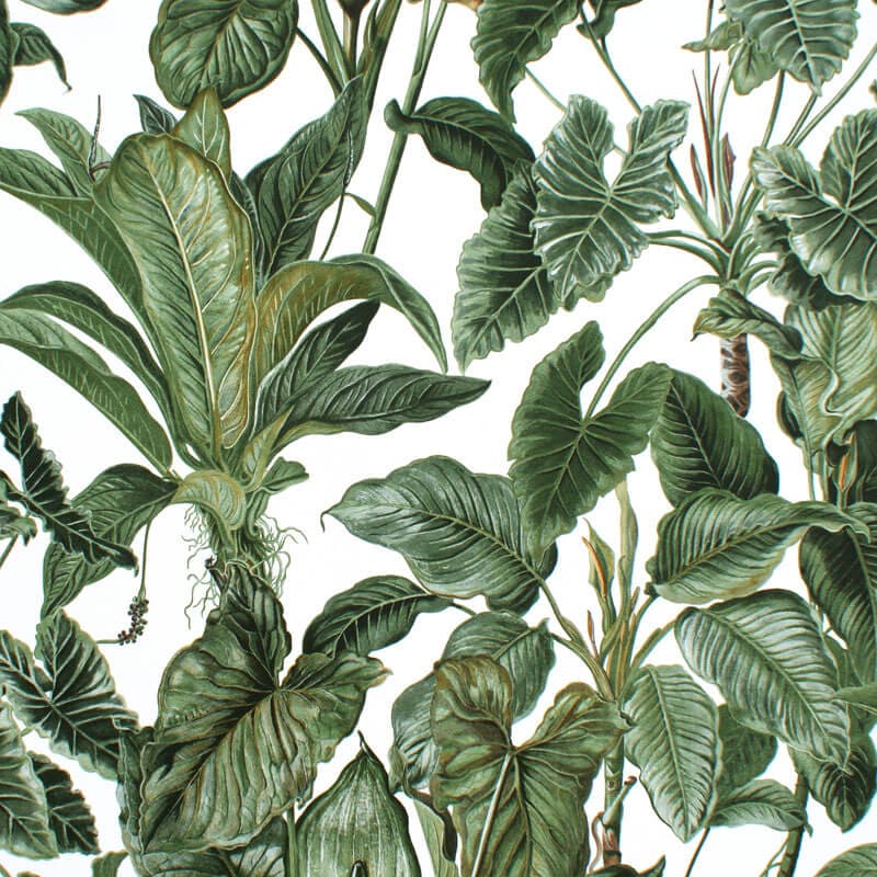 papel pintado hojas verdes