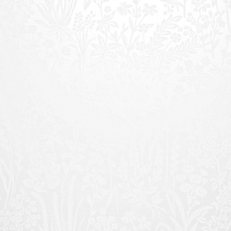 papel pintado hojas plantas blanco perla
